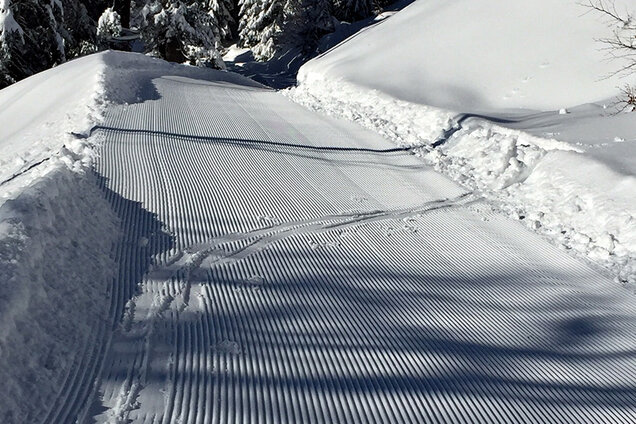 IMG__0007_IMG_0501Trivago