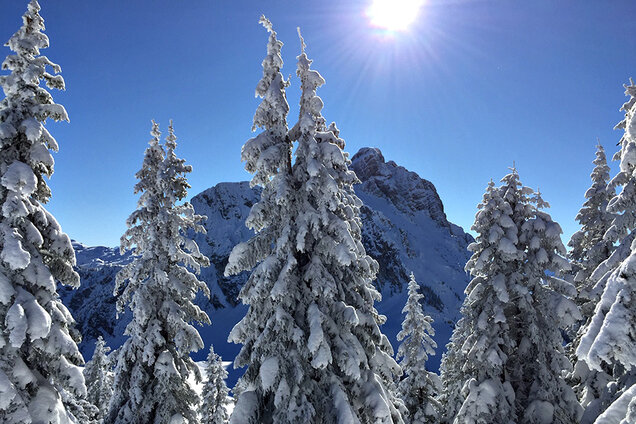 IMG__0006_IMG_0506_Breitenberg